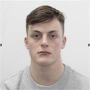 Spanish Tutor Available Esher/virtually